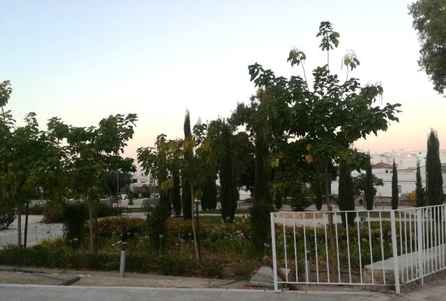 Parque de Jesús (16)